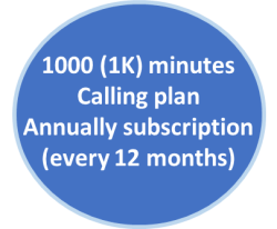 1k-annually-plan