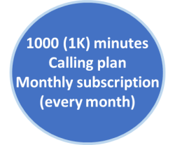 1k-monthly-plan