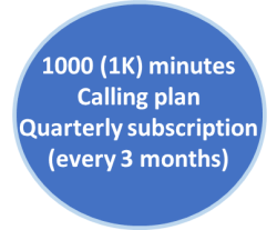 1k-quarterly-plan